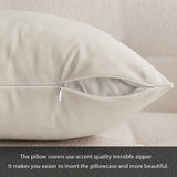 MIULEE Pack of 2 Velvet Pillow Covers Decorative Square Pillowcase Soft Solid Christmas Cushion Case for Spring Sofa Bedroom Car 26x26 Inch Cream White