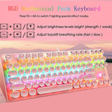 Mechanical Gaming Keyboard and Mouse Combo, 87 Key Retro Punk Typewriter-Style,Blue Switch RGB Rainbow Backlit Keyboard,Cool Breathing Light Lightweight Gaming Mouse for Game and Office,Pink