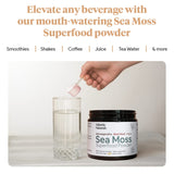 Organic Sea Moss Superfood Powder with Ashwagandha, Beet Root, and Maca | Support Healthy Skin, Athletic Performance, and Positive Mood | Delicious Vanilla Flavor
