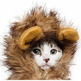 Pet Krewe Cat Lion Mane Halloween Costume – Fits Neck Size 8”-14 - Lion Costume for Small Cats and Kittens – Ideal for Halloween, Cat Birthday, Cat Cosplay, Cat Outfits, Pet Clothes