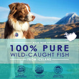 Liquid Fish Oil for Dogs with Omega 3, 6 & 9 Fatty Acids, Wild Caught from Iceland, Skin and Coat Supplement for Shedding, Itchy Skin, Allergies, Brain and Heart Health, Rich in EPA + DHA - 32 oz