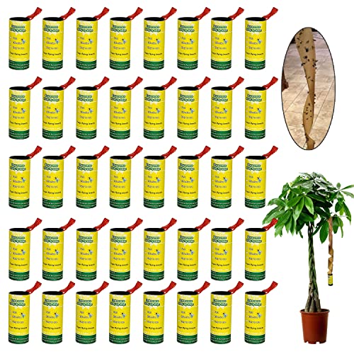 40 Pack Fly Strips Indoor Sticky Hanging, Fly Paper Fly Traps Indoors Outdoor, Fly Tape Catcher Ribbon for Home, Fruit Fly Gnat Trap Killer