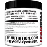 Evlution Stimulant Free Lean BCAA Powder Nutrition BCAAs Amino Acids Powder with CLA Carnitine and 2:1:1 Branched Chain Amino Acids Supports Muscle Recovery Fat Burn and Metabolism - Fruit Punch