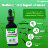 LIQUIDHEALTH Liquid Chlorophyll Drops - Internal Deodorizer, Liver Detox, Immune Support, Stop Bad Breath, Reduce Appetite, Vegan, Non-GMO (2 Oz)