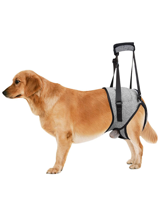 Dog Lift Harness for Large Dogs, Dog Sling for Medium Large Dogs Hind Leg Support, Adjustable Soft Padded Dog Support Harness for Back Legs for Elderly, Injured, Arthritic, Disabled Dogs, XL