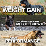 MVP K9 Formula Mass Weight Gainer for Dogs - Helps Promote Healthy Weight Gain, Size and Muscle in Dogs - Great for Skinny, Underweight, Picky Eaters. All Breed Formula, Made in USA (90 Servings)