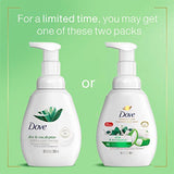 Dove Foaming Hand Wash Aloe & Eucalyptus Pack of 4 Protects Skin from Dryness, More Moisturizers than the Leading Ordinary Hand Soap, 10.1 oz