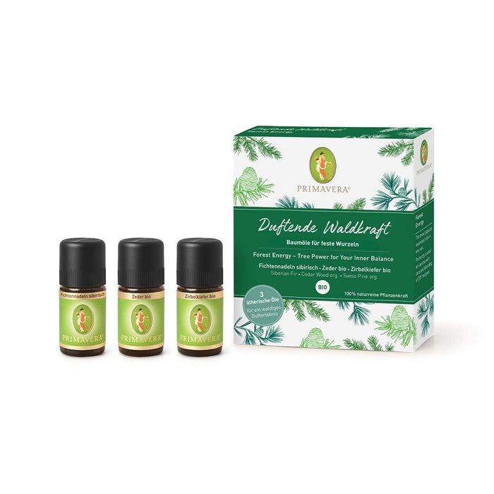 PRIMAVERA essential oils set fragrant forest power - gift box 3 x 5 ml Swiss stone pine, cedar, spruce needle - aroma oil, fragrance oil, aromatherapy, gifts - vegan