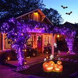 weillsnow Purple Halloween Lights, 200 LED 66Ft Plug in Waterproof Halloween Lights, 8 Modes with Memory for Outdoor Indoor Garden Tree Patio Irish Christmas Decorations (66FT, Purple)