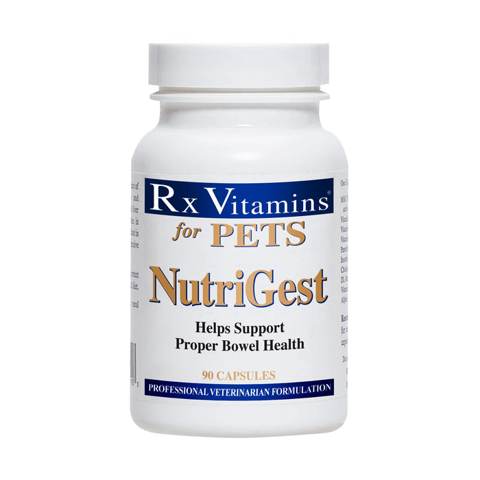 Rx Vitamins for Pets Nutrigest for Dogs & Cats - Helps Support Proper Bowel & Digestive Health - Veterinarian Formulated Probiotic - 90 Capsules