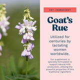 Goat's Rue Lactation Supplement For Increased Breast Milk, Lactation Supplement For Breastfeeding Mothers - Lactation Support For Milk Supply Increase, Breastfeeding Supplements (120 Capsules)