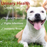 iHeartDogs Extra Strength Urinary, Bladder, & Kidney Support for Dogs – Cranberry, D-Mannose & Echinacea Helps Frequent UTIs, Strengthens Weak & Incontinent Bladder