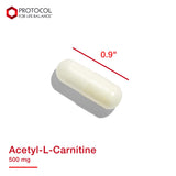 Protocol Acetyl-L-Carnitine 500mg - Supports Energy, Brain & Mitochondrial Health* - Brain Pills - Amino Acid - Made without Gluten, Non-GMO, Vegan - 100 Veg Caps