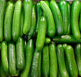 US Grown! 40+ Persian Beit Alpha (a.k.a. Lebanese) Cucumber Seeds Heirloom Non-GMO Burpless Sweet Non-Bitter and Acid Free, Crispy and Sweet, Fragrant and Delicious, Cucumis sativus, Grown in USA!