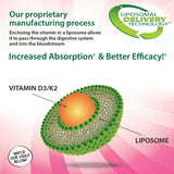 Aurora Nutrascience, Mega-Liposomal Vitamin D3/K2+ with Vitamin C, Organic Fruit Flavor, Gluten Free, Non GMO, 16 fl oz (480 ml)