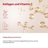 Doppelherz System Collagen 11,000 Plus – With nutrients that contribute to the health of the locomotor system and cell protection – 30 drinking bottles