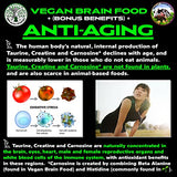 Vegan Brain & Body Boost: The Cherry On Top of A Plant-Based Lifestyle | Working Intelligence | Anti-Aging | Physical Fitness | Vegan Amino Acids - Creatine, Taurine & Beta Alanine | 40 Servings/300g