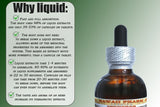 Hawaii Pharm Psyllium Alcohol-Free Liquid Extract, Psyllium (Plantago Psyllium) Dried Husk Glycerite Natural Herbal Supplement, USA 64 fl.oz