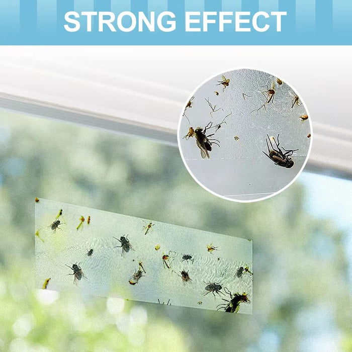 30 Pcs Window Fly Traps for Indoor, Fly Paper Sticky Strips, Fly Catcher Clear Windows Trap for Home, House Fly Killer Lady Bug Traps Indoor