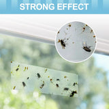 30 Pcs Window Fly Traps for Indoor, Fly Paper Sticky Strips, Fly Catcher Clear Windows Trap for Home, House Fly Killer Lady Bug Traps Indoor
