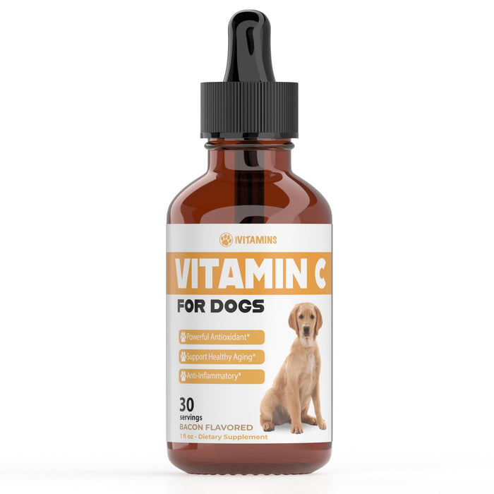 Vitamin C for Dogs | Helps with Improving Immune Health | Vitamin C for Dogs Liquid | Dog Immune Support | Dog Immune and Allergy Supplement | Dog Immune Booster | 1 oz Bacon Flavor