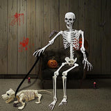 Lodou 5.4Ft Posable Life Size Human Adult Skeletons Plastic Human Bones with Movable Joints for Halloween Decoration