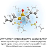 ALLIMAX 180mg 90 Capsules. Allicin Garlic Supplement to Support Your Body’s Immune Function. Contains Stabilized and Potent Bioactive Allicin, Extracted from Clean & Sustainable Spanish Grown Garlic.