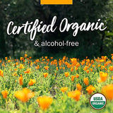 Herb Pharm Kids Certified- Alcohol-Free Sinus Samurai Liquid Herbal Formula, Organic, 1 Fl Oz