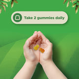 Plant Based Kids Multivitamin Gummies - Multivitamin for Kids Immunity Support Gummies with Vitamins A C D3 E B and Zinc Gelatin and Gluten Free Non-GMO Kids Vitamins Gummy Multivitamin Formula 120ct