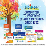 Boiron ThroatCalm Tablets for Relief of Sore Throat, Hoarseness, or Scratchy, Red, Dry Throat - 120 Count