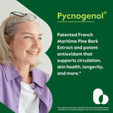 BESTVITE Pycnogenol 50mg (120 Capsules) (60x2) - French Maritime Pine Bark Extract - No Stearates - Gluten Free - Non GMO