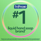 Softsoap Soothing Clean Liquid Hand Soap Refill, Aloe Vera Scent, 1 Gallon (201900) (792739)