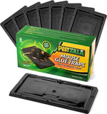 PESTZILLA Baited Mouse Trap – Professional Strength Glue Rat Trap – 8 Glue Trays - Perfect