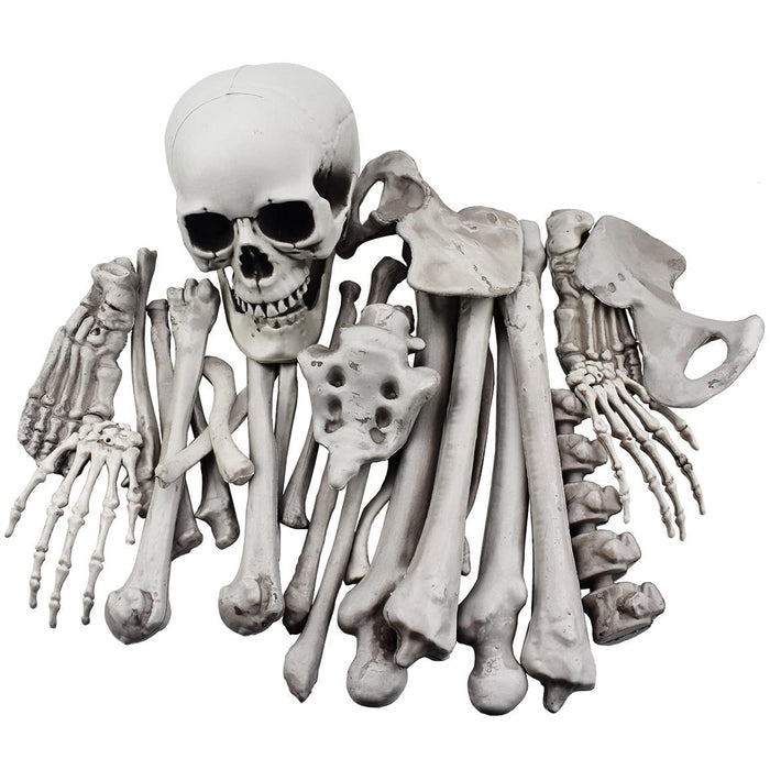 XONOR 28 Pieces Skeleton Bones and Skull for Halloween Decor or Spooky Graveyard Ground Decoration (28PCS)