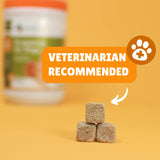 POINTPET Probiotics for Dogs - Premium Probiotic Supplement with Prebiotics - Helps Support Proper Gut Flora, Digestive Tract & Loose Stool - Promote Intestinal Well-Being