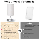 Caromolly Light Therapy Lamp, 10000 Lux Light with Remote Control, 3 Color Temperature & 4 Brightness Level & Timer, Daylight Lamp for Home, Office, Decoration(Silver Base Linen Shade)
