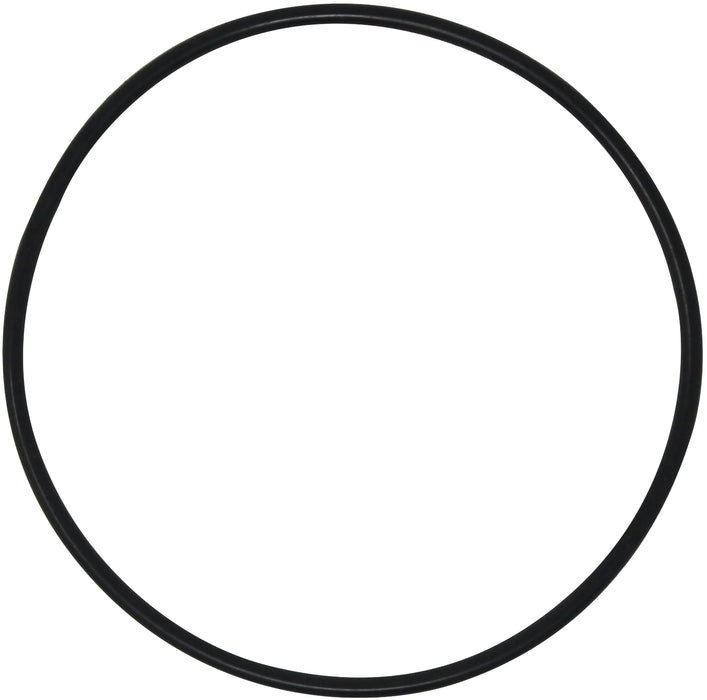 AppliaFit Tank O-Ring Compatible with Hayward DEX2400K for Micro-Clear DE, Pro-Grid DE, Super Star Clear and SwimClear Filters (1-Pack)