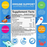 Kids Immune Support Gummies with Vitamin C, Zinc & Echinacea, Gluten Free & Non-GMO Chewable Immune Support for Kids Gummy, Daily Childrens Immune Support Vitamins, Vegan, Berry Flavor - 90 Gummies