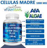 Celulas Madres 4 Botellas Vitamisan