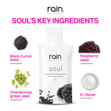 RAIN SOUL Seed-Based, Organic Antioxidant, 2 Boxes (30 pouches each)
