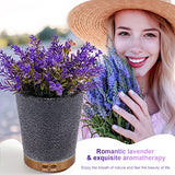 Essential Oil Diffuser, Lavender Plant Potted Aromatherapy Diffuser, 150ml Cold Mist humidifier, Super Quiet and Waterless auto Shut Off, ultrasonic Oil Diffuser for Home Office