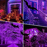 weillsnow Purple Halloween Lights, 200 LED 66Ft Plug in Waterproof Halloween Lights, 8 Modes with Memory for Outdoor Indoor Garden Tree Patio Irish Christmas Decorations (66FT, Purple)