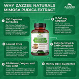 Zazzee Mimosa Pudica Seed 10:1 Extract, 200 Vegan Capsules, 1100 mg, 3+ Month Supply, Potent 10:1 Extract, Non-GMO and All-Natural