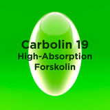 Biotest Carbolin 19 High-Performance Forskolin (30 Day Supply) 60 Softgels