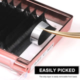 FENSHINE BEAUTY Fenshine Volume Lashes Extensions, Soft Easy Fan Volume Lashes Self Fanning Lashes, Automatic Blooming Flower Lashes for Eyelash Extension Supplies (0.07 D Curl, 8mm)