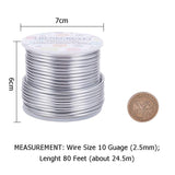 BENECREAT 10 Gauge Jewelry Craft Aluminum Wire 80 Feet Bendable Metal Sculpting Wire for Christmas Craft Floral Model Skeleton Making (Silver, 2.5mm)