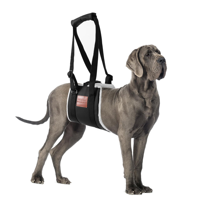 S-ETOVUS Dog Sling for Back Legs, Dog Lift Harness, Magic Tape Dog Sling for Large Dogs Hind Leg Support, Elderly Dog Lifter, Assist Canie Hip Arthritis K9 Cruciate Ligament Rehabilitation (Small)