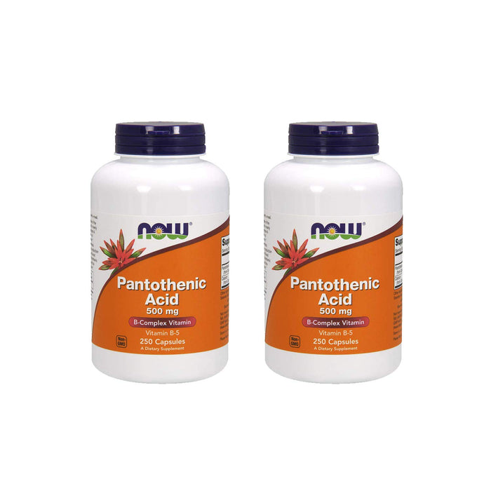 Now Foods Pantothenic Acid 500 mg, 250 Capsule (2 Pack)