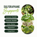 SM NUTRITION 50MG Sulforaphane Supplement from Broccoli Sprouts | NRF2 Activation with Glucoraphanin, Myrosinase & Antioxidants | Support Cellular & Immune Health | Broccoli Seed Extract Microbeadlets, Vegan 60ct