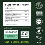 SM NUTRITION 50MG Sulforaphane Supplement from Broccoli Sprouts | NRF2 Activation with Glucoraphanin, Myrosinase & Antioxidants | Support Cellular & Immune Health | Broccoli Seed Extract Microbeadlets, Vegan 60ct